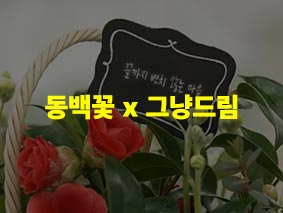 꽃말 인터뷰 ep.1 동백꽃 x 그냥드림